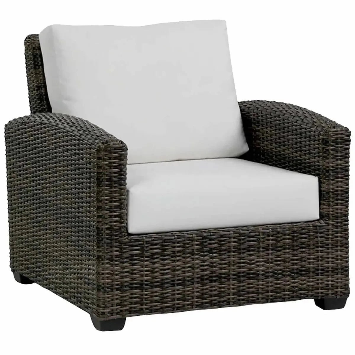 Ratana Coral Gables Club Chair with Switch Flax Cushions image 0