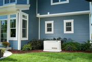Guardian Series 22 Kw/19.5 Kw Air Cooled Home Standby Generator with Wi-Fi with Whole Hoe 200 Amp Transfer Switch image 1